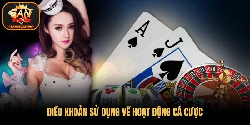 Điều khoản sử dụng về hoạt động cá cược