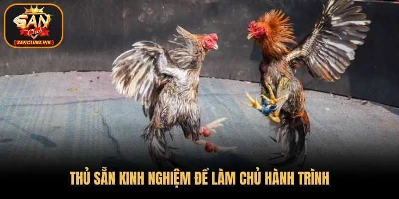 Thủ sẵn kinh nghiệm để làm chủ hành trình